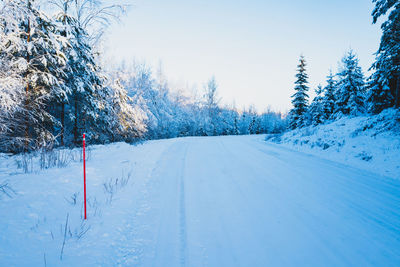 Trees on snow covered landscape