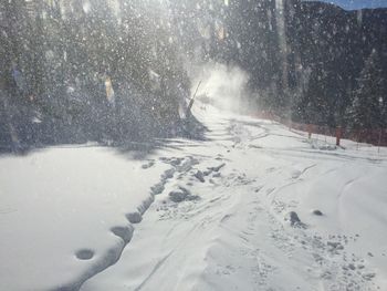 View of snow covered landscape