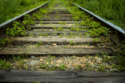 Surface level of railroad track amidst plants on field