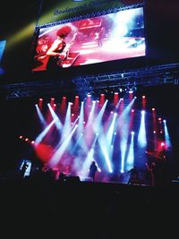 Rear view of people in concert at night