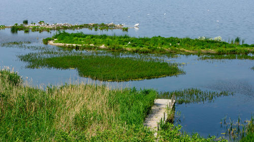 Scenic view of lake