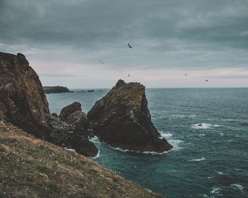 Scenic view of ocean and the rocky coast against sky and birds 