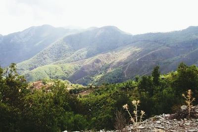 mountain