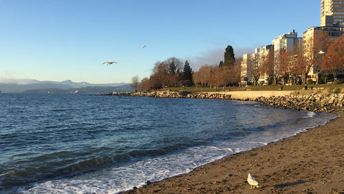 View of beach against sky