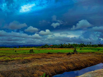 Scenic view of field against sky