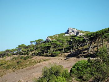 Scenic view of landscape against clear blue sky