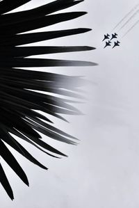 Close-up of airplane flying against sky