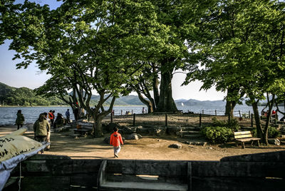 Tourists on tree