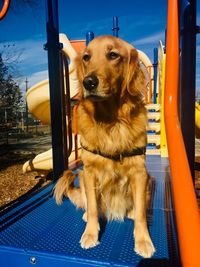 Coda and i at the playground on a really nice day.