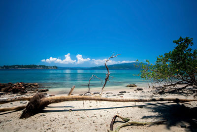 Scenic view of beach against blue sky