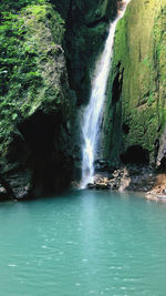 Scenic view of waterfall in forest