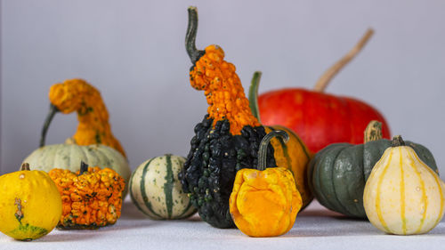 Close-up of pumpkins against orange background