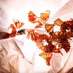 High angle view of maple leaves on table