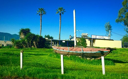Trees on grassy field against cloudy sky