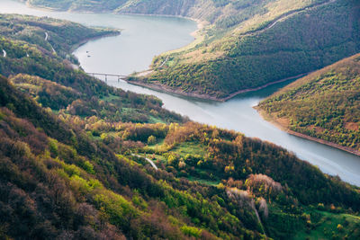 High angle view of river amidst trees