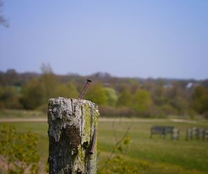 Close-up of bird perching on wooden post on field against sky