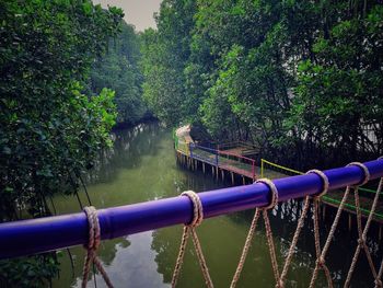 View of bridge over river against trees in forest