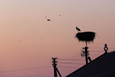 Low angle view of silhouette birds on cable against sky