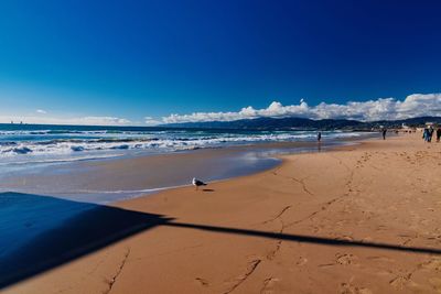 Scenic view of beach against blue sky