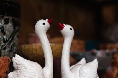 Close-up of stuffed toy