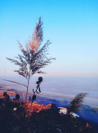 Scenic view of calm sea against clear sky