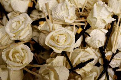 Full frame shot of white roses