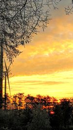 Silhouette plants against dramatic sky during sunset