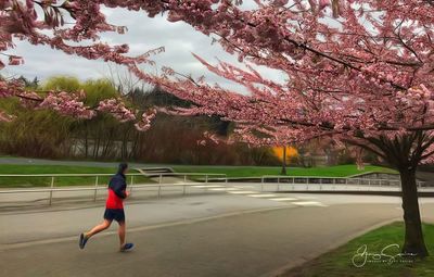 Rear view of man with umbrella on tree