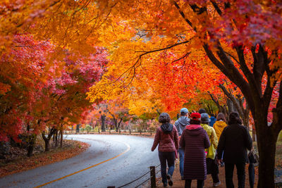 People walking on road