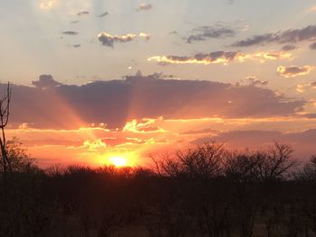 Scenic view of silhouette trees against sky during sunset