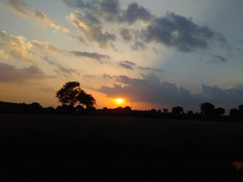 Silhouette trees on field against sky during sunset