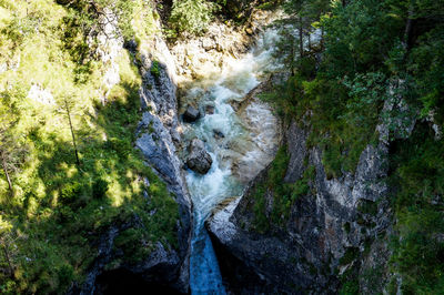 Close-up of water flowing over trees