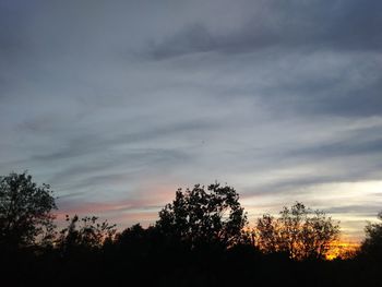 Low angle view of silhouette trees against sky at sunset
