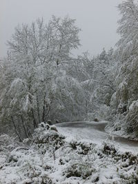 Snow covered land and trees against sky