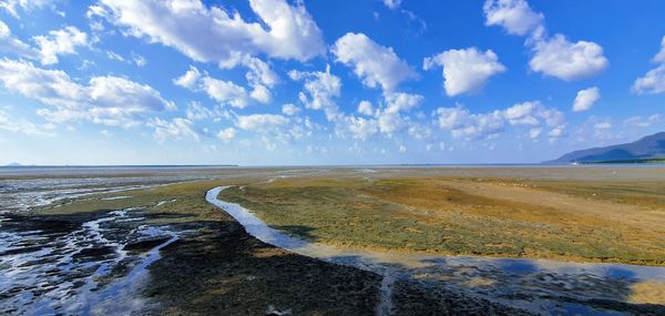 Scenic view of sea against sky