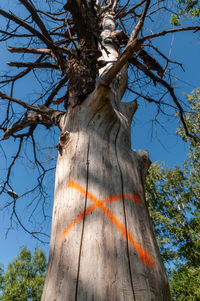 Low angle view of bare tree against sky