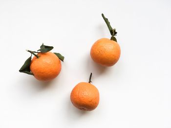 Close-up of orange fruits on white background