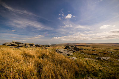 Scenic view of agricultural landscape against sky