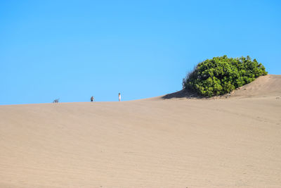 Distant view of person standing on arid landscape against clear blue sky