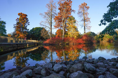 Scenic view of lake by trees against sky during autumn