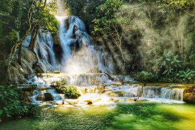 Waterfall in forest