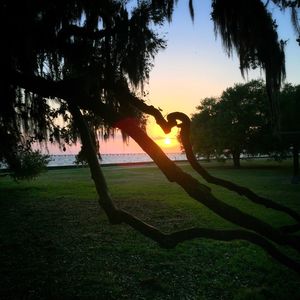 Scenic view of silhouette trees against sky at sunset