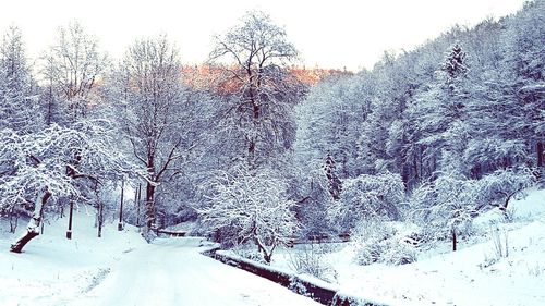 Scenic view of snow covered field