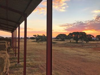 Scenic view of field against sky during sunset