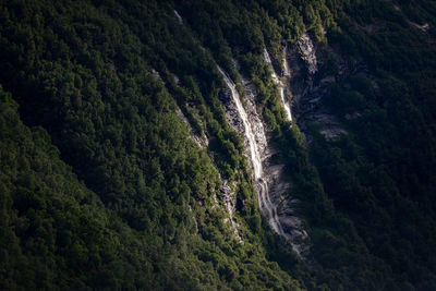 High angle view of waterfall in forest