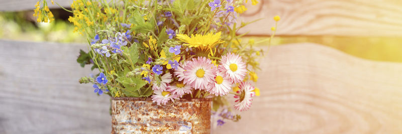 Close-up of purple flower pot