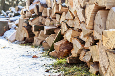 Close-up of stack of wood during winter