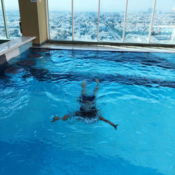 High angle view of turtle swimming in sea