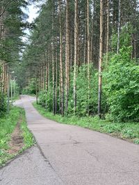 Road amidst trees in forest