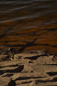 Close-up of rocks